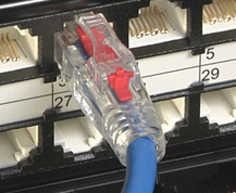 CAT5e-6-6A Premium Patch Cables.jpg